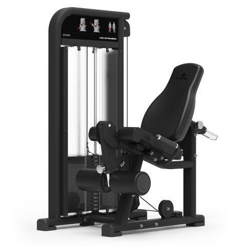 Seated Leg Extension