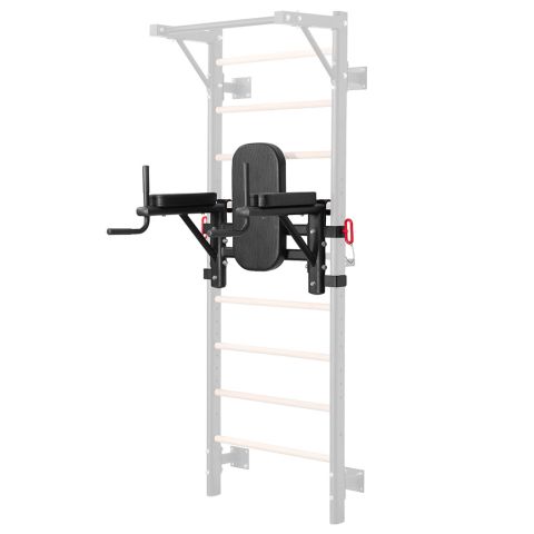 Dip Station for Wall Bars